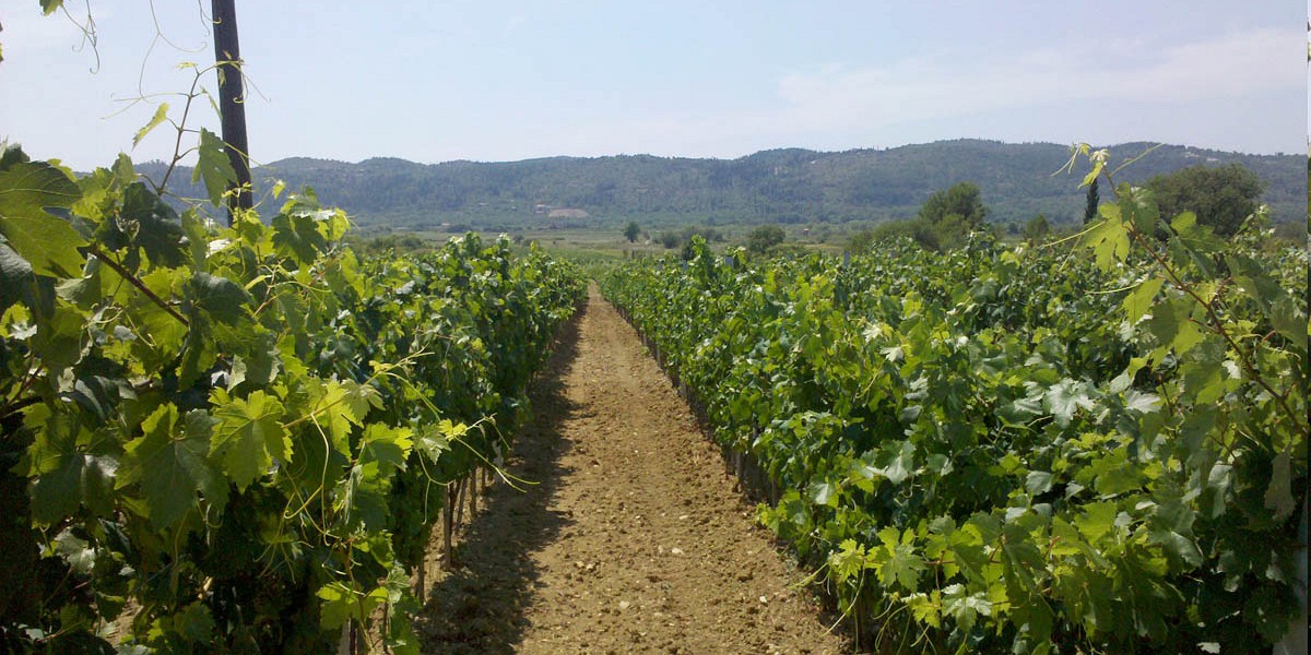 Miljas Ltd.