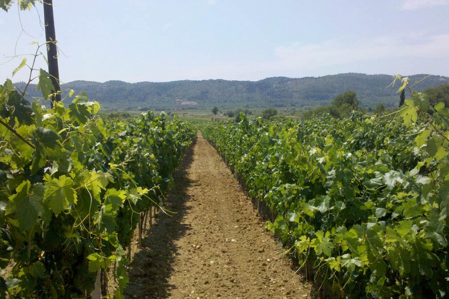 Miljas Ltd.