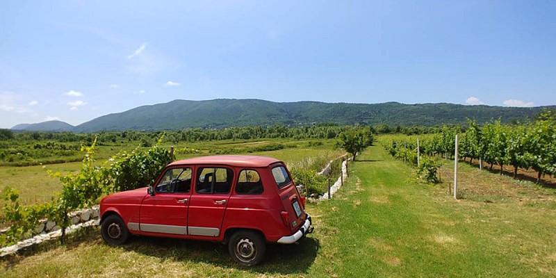 renault4.jpg